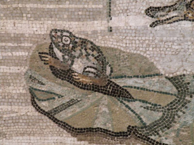 mosaïque grenouille